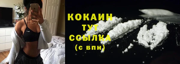 соль ск Верхний Тагил
