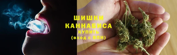 соль ск Верхний Тагил