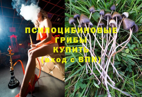 соль ск Верхний Тагил