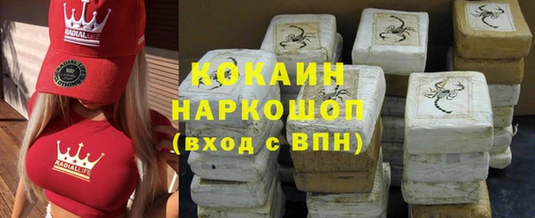 сатива Бронницы