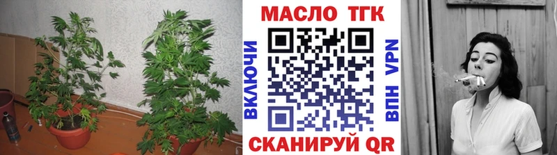 ТГК концентрат  blacksprut зеркало  Гдов 
